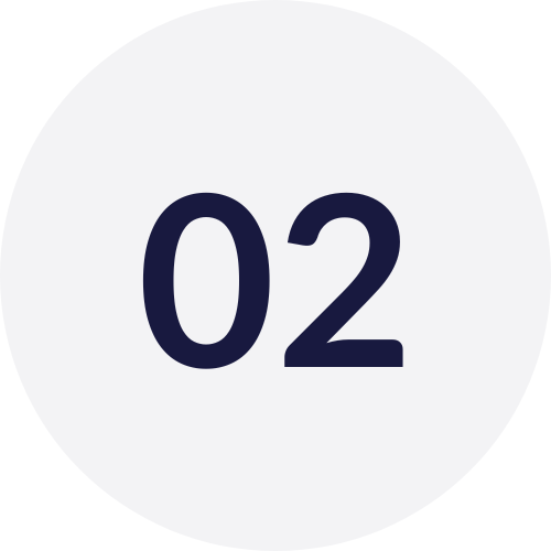 Step 02 Plan and Execute.